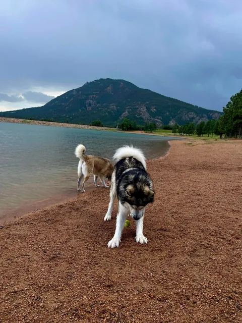 One of my favorite pictures I’ve ever taken - and the goofiness leading up to it!