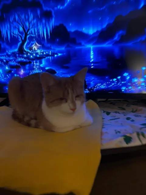 Born with no EyeBalls (anophthalmia)... My Beauty Queen