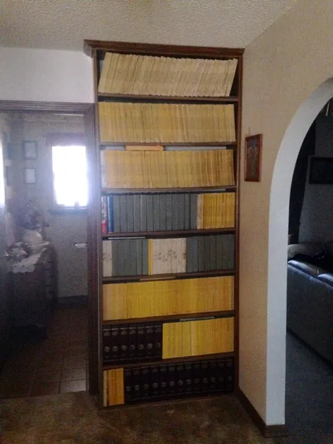 My grandparents have every issue of National Geographic since February, 1921