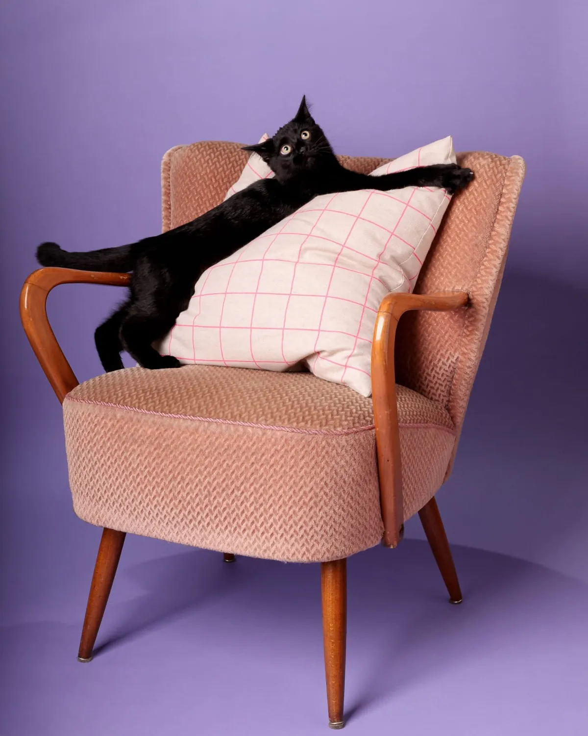 Look who's got a nice photoshoot