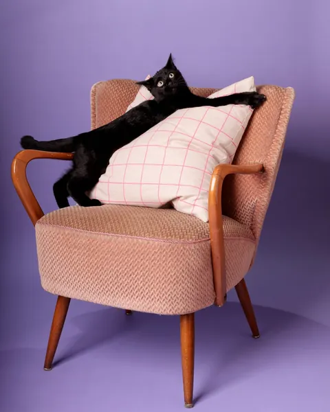 Look who's got a nice photoshoot