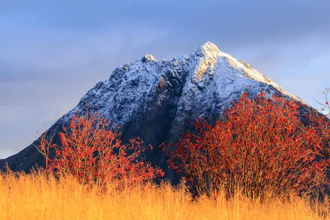 The mountain Hornet – Northern Norway [1920x1280][OC]