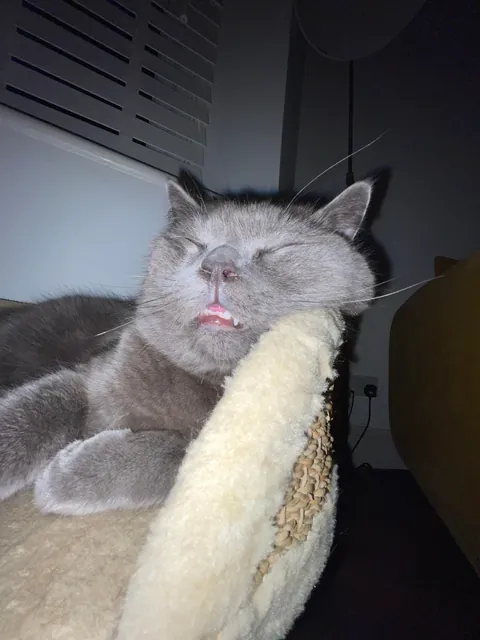 It’s his 1st bday. Congratulate him