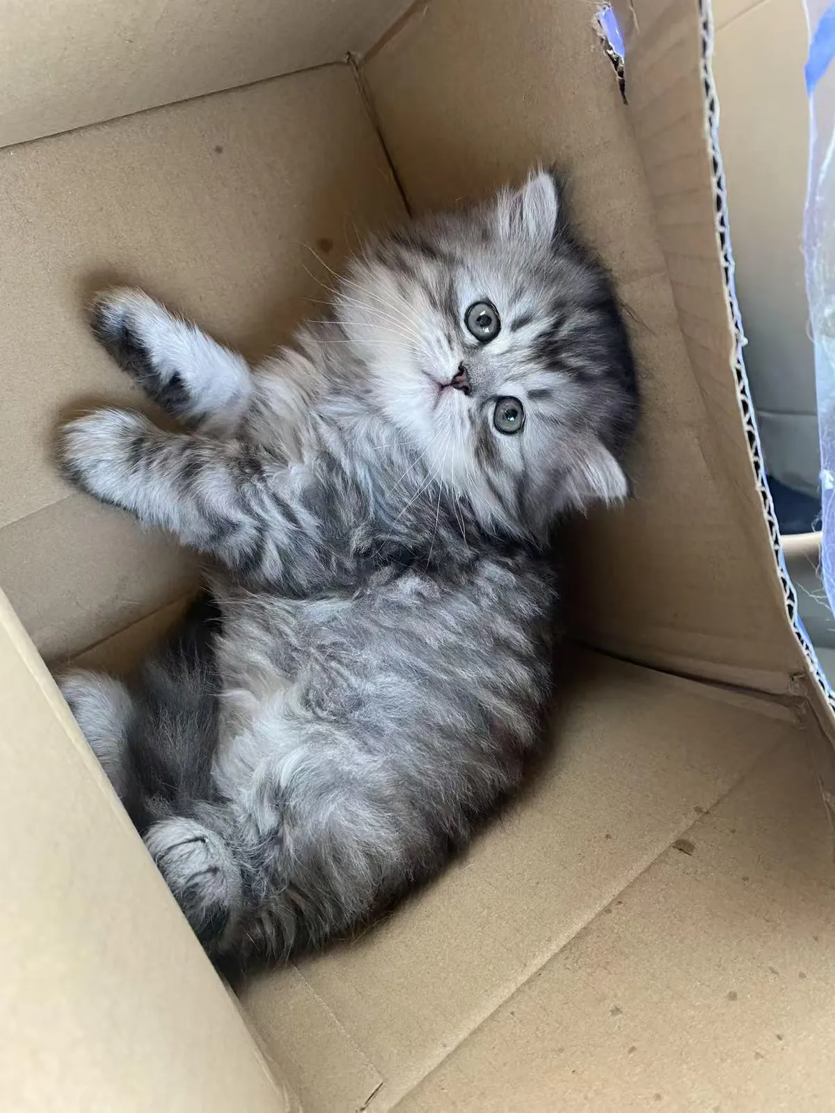 This was our first time meeting.