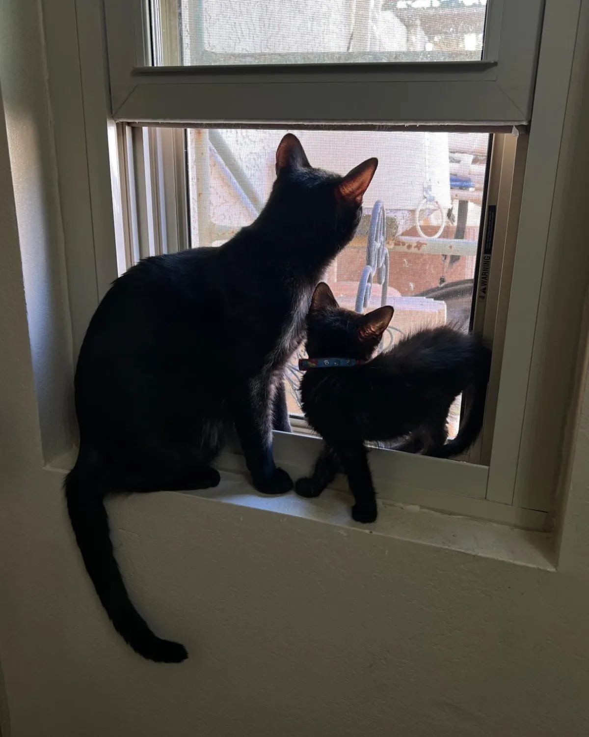 It’s hard being a single father 🖤