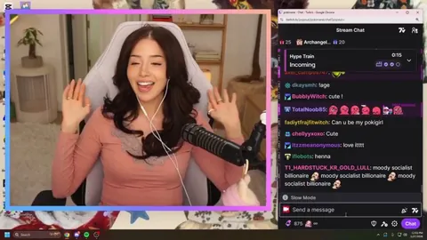 Pokimane got upset and banned a viewer for calling her a “moody socialist billionaire”