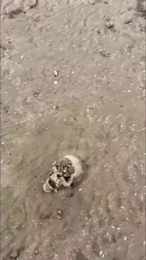 WW2 soldiers skulls resurfacing as the water levels in Dnipro continue to decrease.