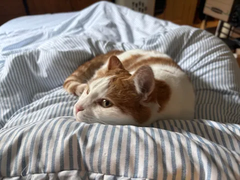 Can you believe that I found her in the garbage?