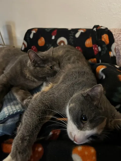 Sisters being sisters