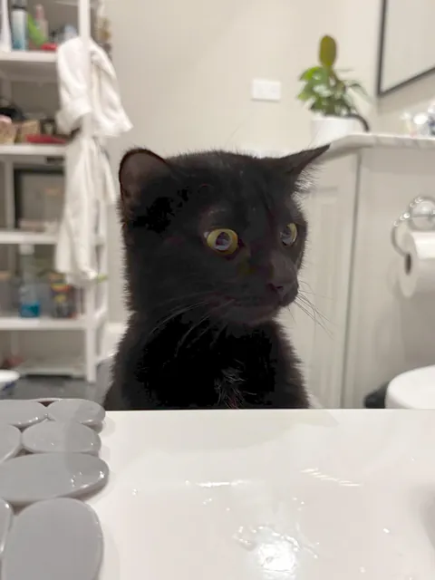 Our new addition discovering what a bath is