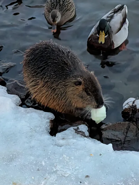 Prague in the winter