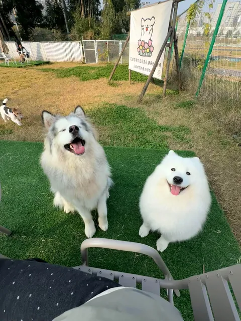 • The Bravest Warriors of Siberia