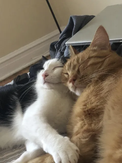 I love that they love each other.