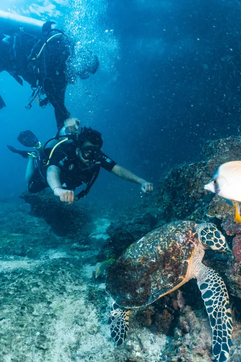 I went to Thailand and it was stunning.