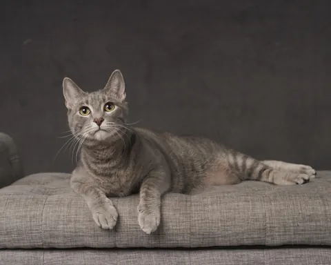 Won a professional photoshoot with my son 🖤