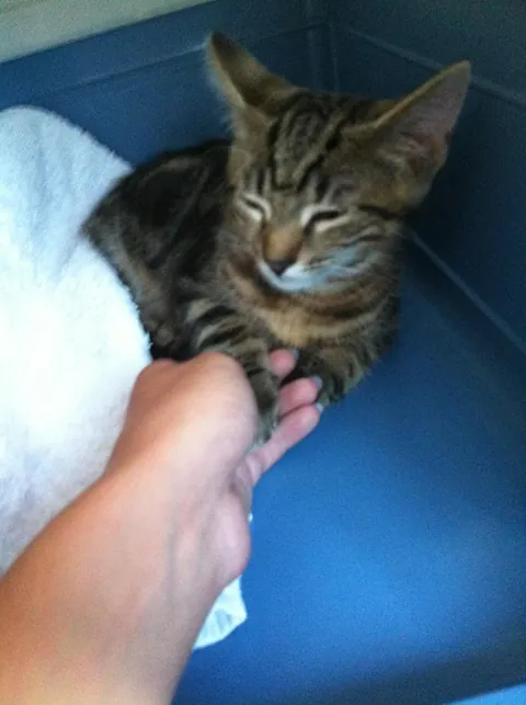 His first trip and his last one