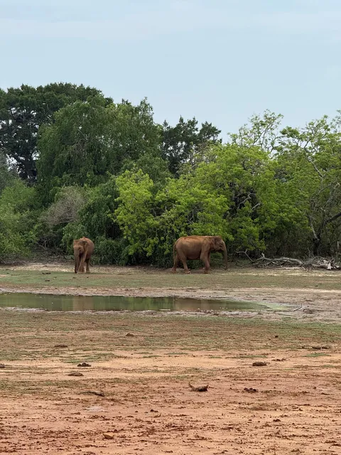 Sri Lanka is a dream you won’t want to wake up from