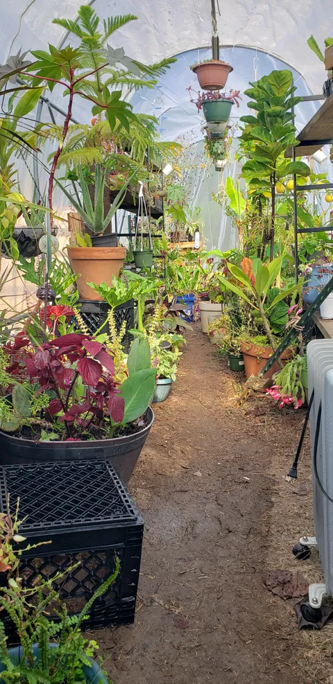 I was hatched 34 years ago today. Let us drink, and let there be plants 