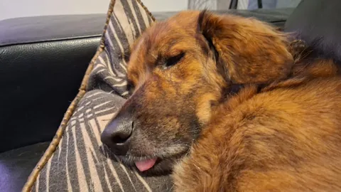 My girl Mandy (Mlemdy)