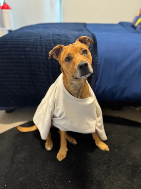 Hope Hector starts your weekend with a smile. And don’t forget to hug your fur babies