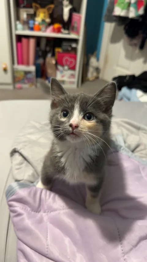 My new daughter❤️