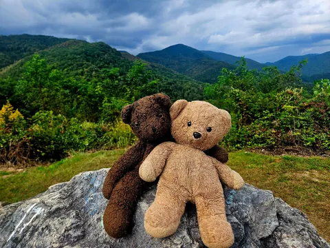 My wife and I took our childhood teddy bears on vacation to North Carolina with us.
