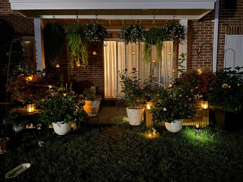 Our garden without a garden. (Repost) everything is in planters