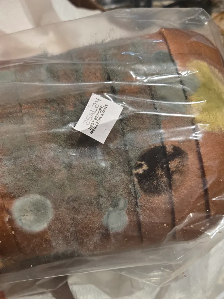 There are at least 3 types of mold on this bread