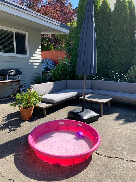 When the Airbnb say there’s a garden side pool and you show up to this