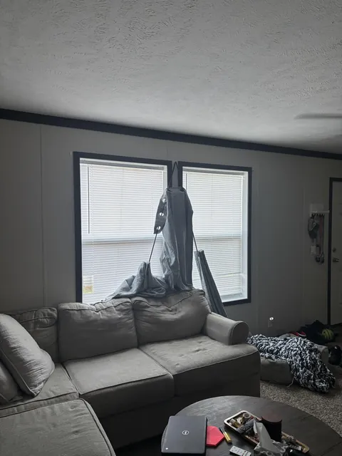 Guess what kind of pet I have.