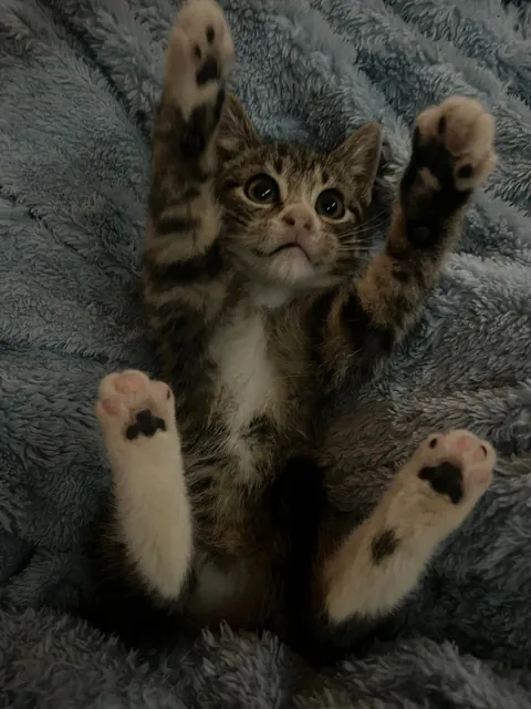 Introducing Riften 💙