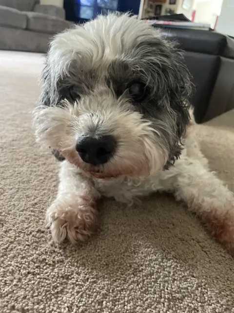 My grandparents' handsome eighteen year old boy :)