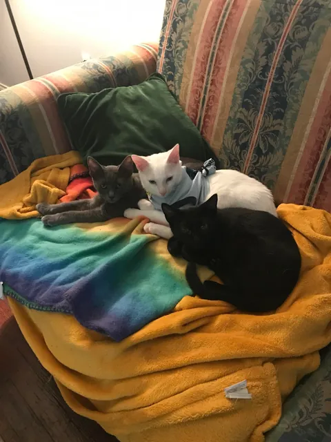 My boy is the best nanny I could ever ask for