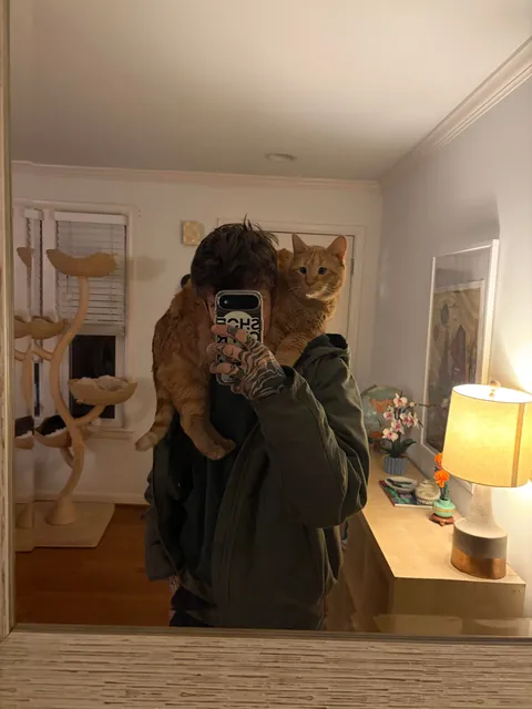 I’ve lost my best friend Link