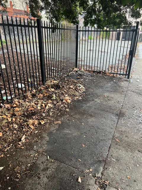 I clean up illegal dumping in Oakland for fun. This pile had more than 40 syringes.