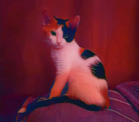 Introducing Baby Jessica