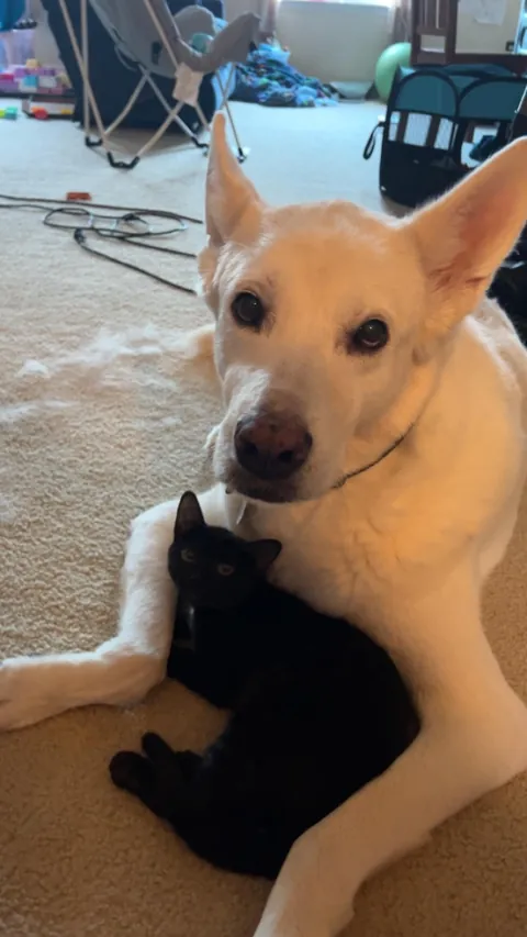 My sweet girl made me tear up this morning….