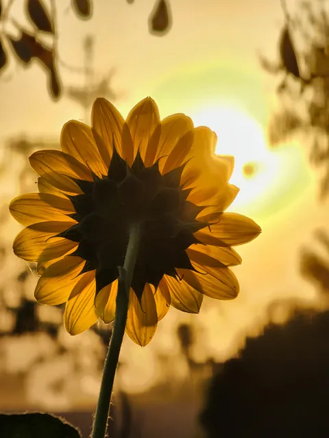 Took this with my phone