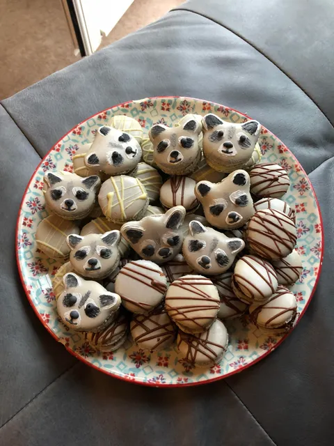 [Homemade] macarons and ma-raccoons.