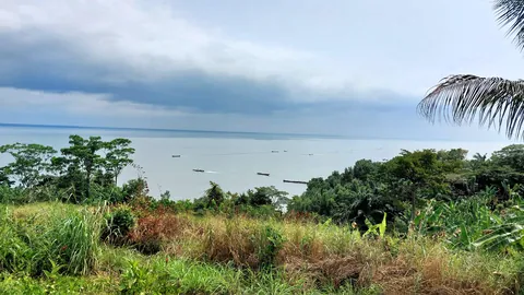 Pics from my two trips to Gabon in central Africa (Aug 2024&amp;2025)