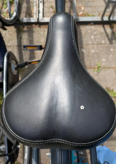 A cute flower pressed itself on my bike seat