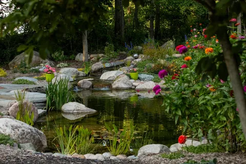 Our backyard pond last year, can't wait for Spring to green everything back up.