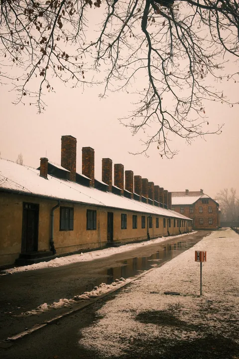 Auschwitz-Birkenau: Nazi German Concentration &amp; Extermination Camp (Poland)