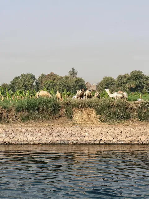 Five days on the Nile - Egypt, April 2025
