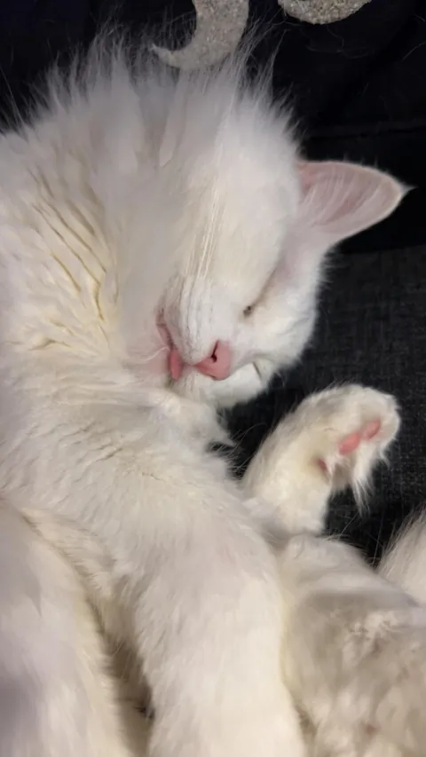 I lost my baby to cancer on Wednesday night and I’m devastated (a tribute)