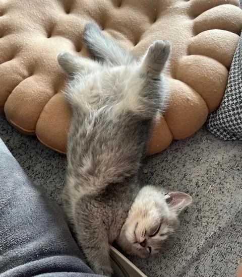 They melted again. I can’t with these two.