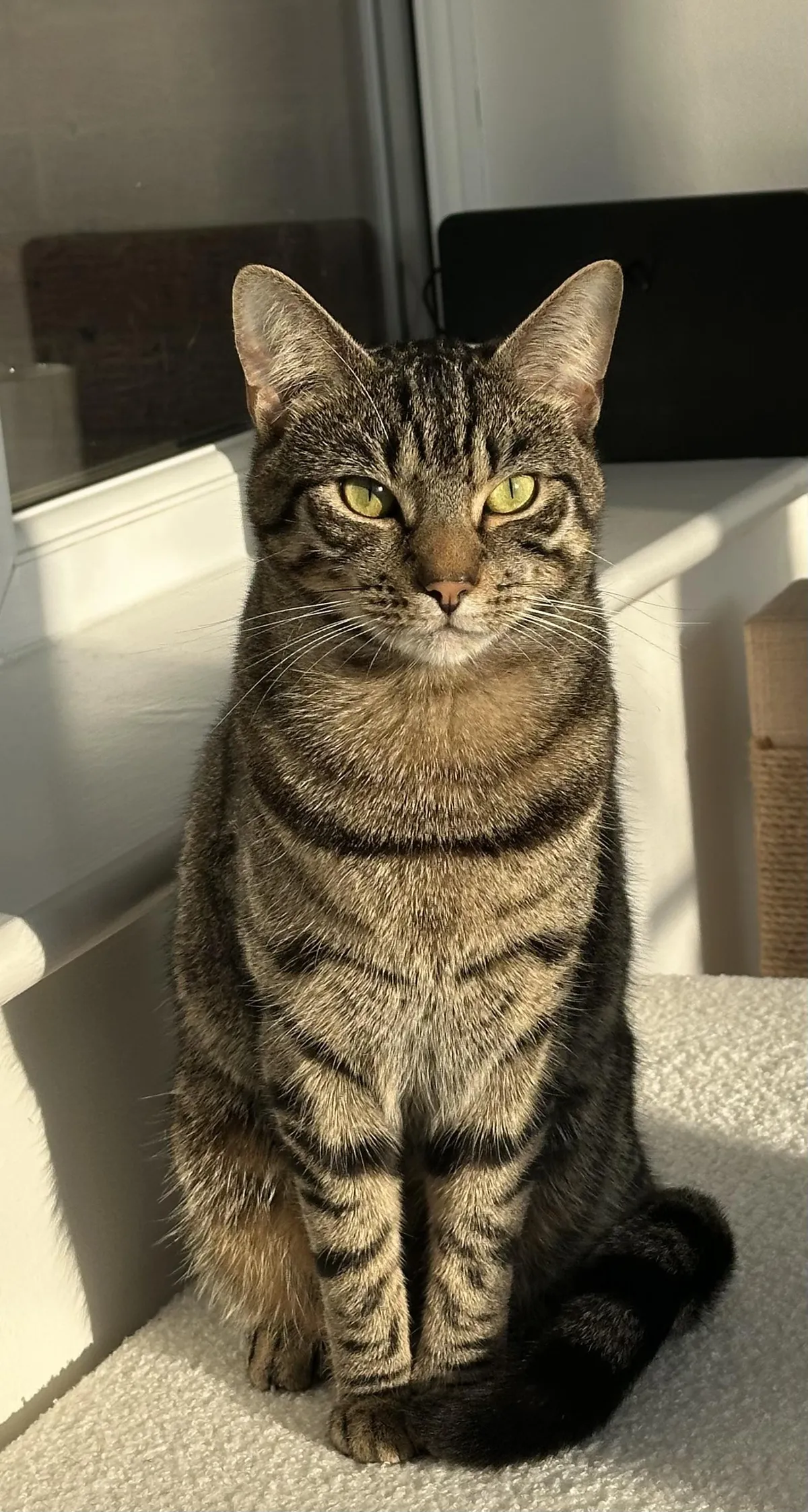 I just wanted to show off my boy, Magnus.