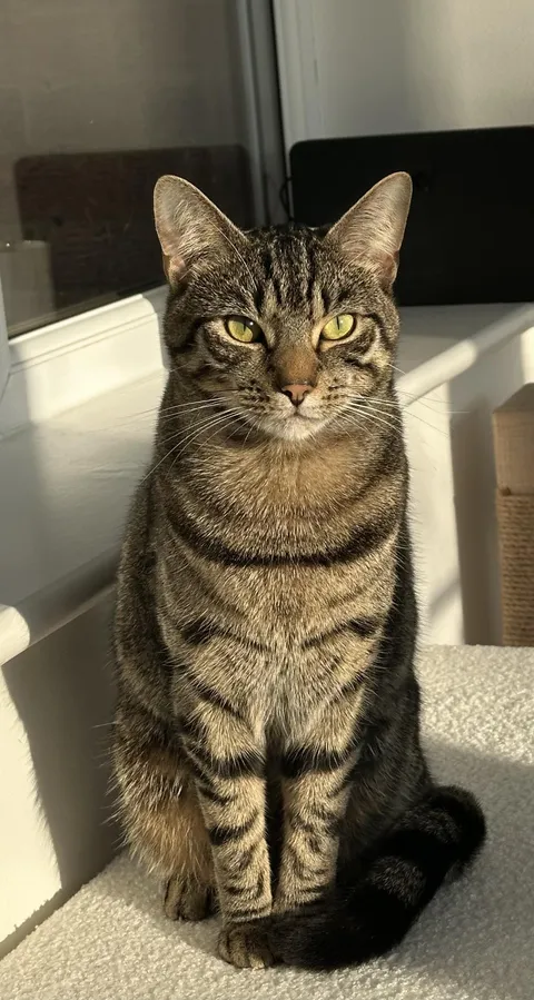 I just wanted to show off my boy, Magnus.