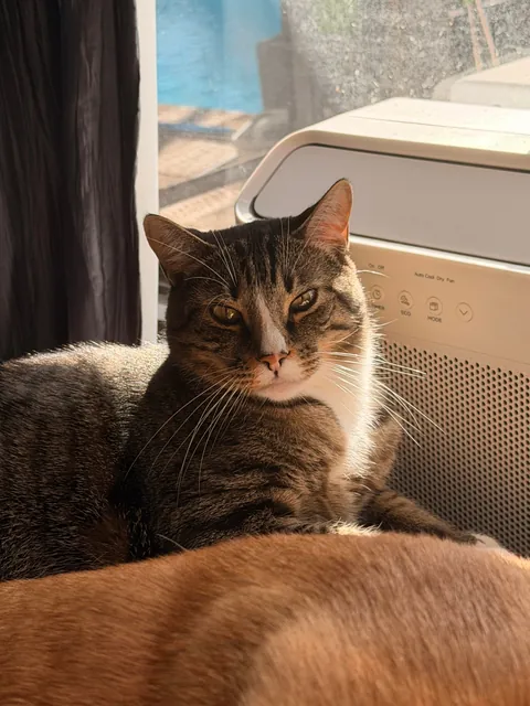 A sequence of events my GF captured