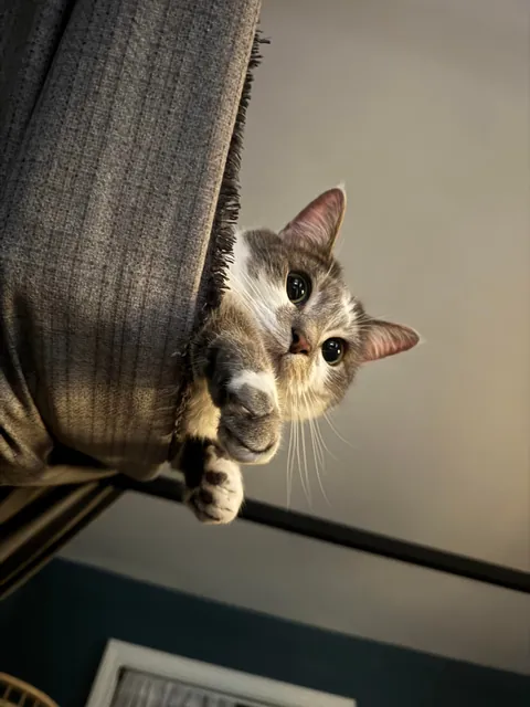 “You up yet? I’m hungry.”